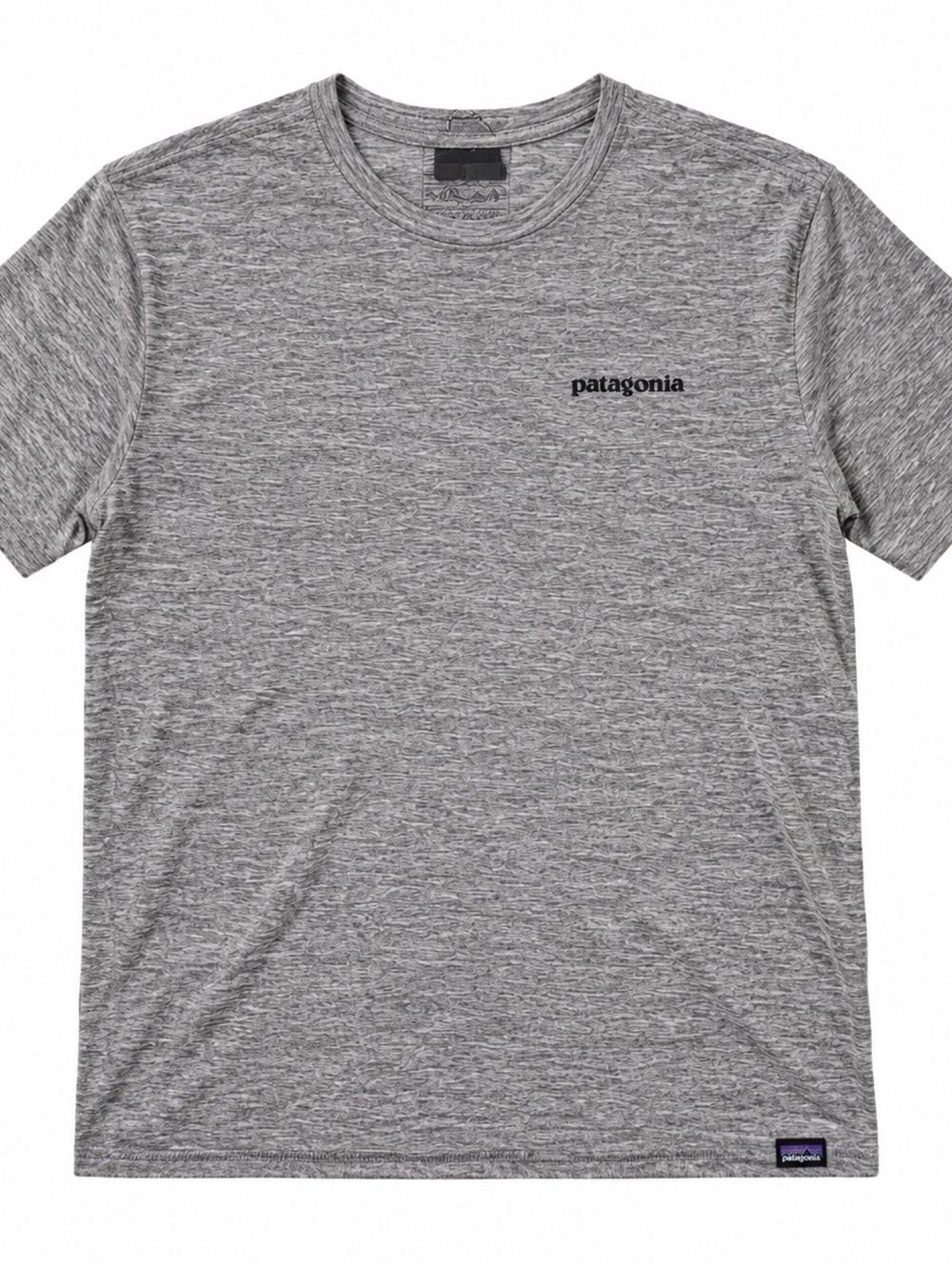 Patagonia gray graphic T-shirt